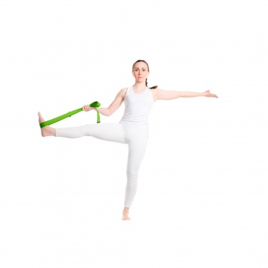 Logotrade werbemittel das Foto: Virabha RPET Yogagurt