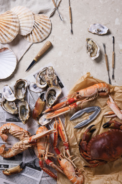 Logotrade Firmengeschenke das Foto: VINGA "Story of Seafood"