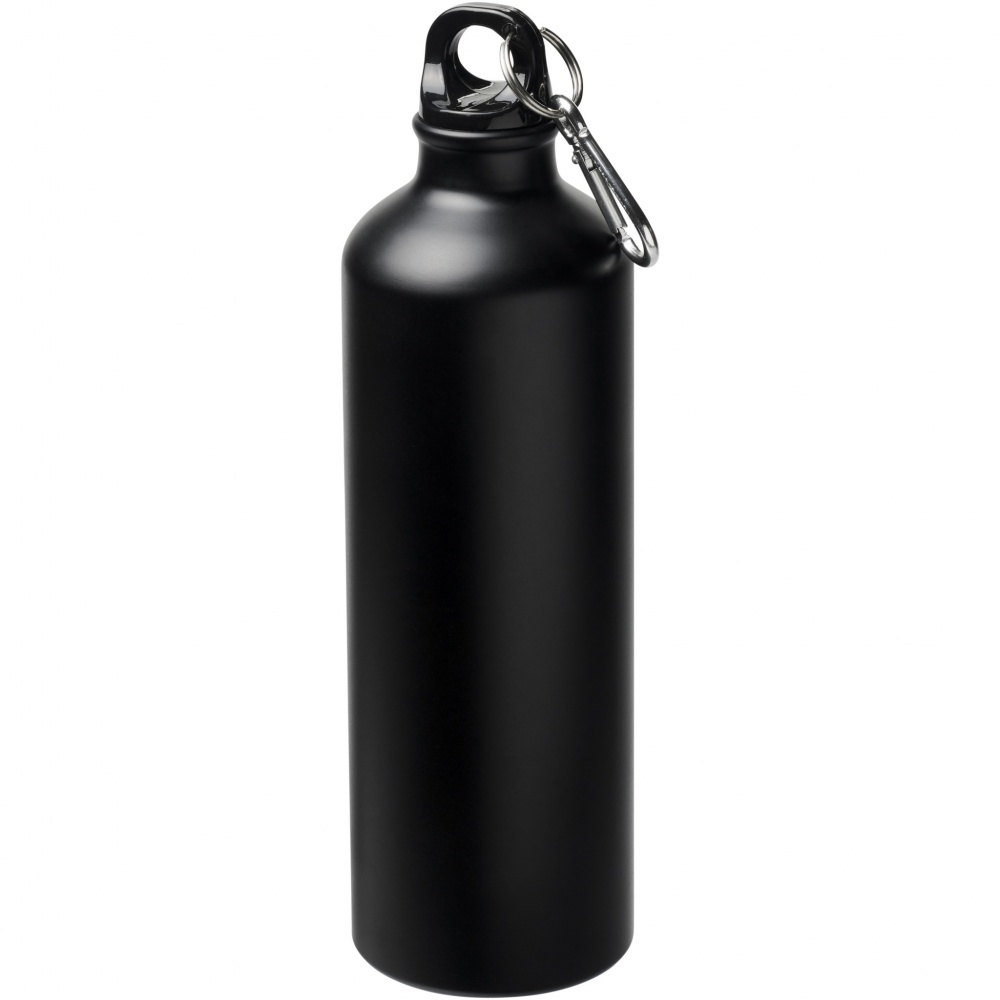 Logo trade promotional items picture of: Oregon 770 ml matte water bottle with carabiner