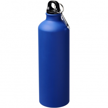 Logo trade promotional giveaways image of: Oregon 770 ml matte water bottle with carabiner