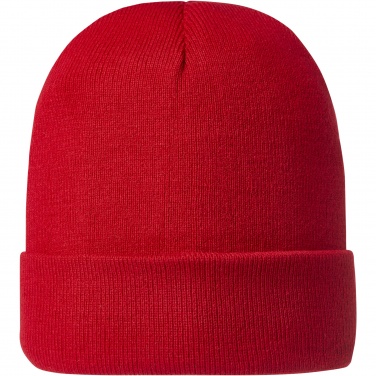 Logo trade promotional product photo of: Irwin beanie