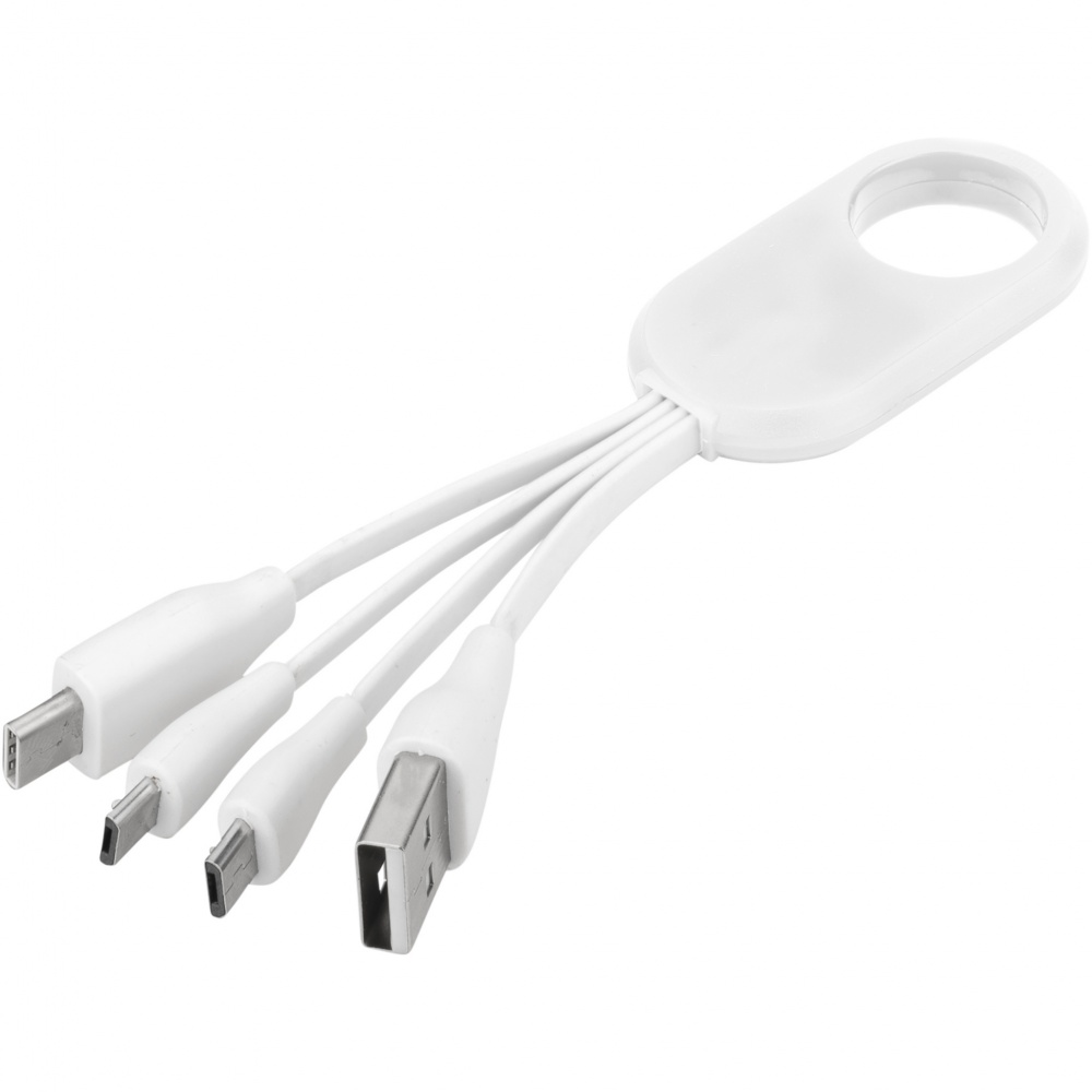 Logo trade promotional giveaway photo of: Troup 4-in-1 charging cable with type-C tip