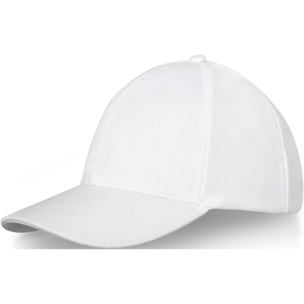 Logotrade advertising product picture of: Drake 6 panel trucker cap