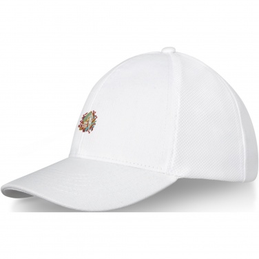 Logo trade promotional items picture of: Drake 6 panel trucker cap