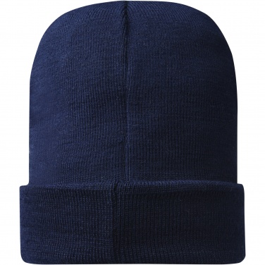 Logo trade promotional giveaway photo of: Hale Polylana® beanie