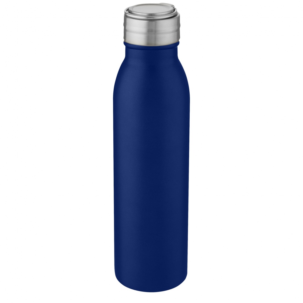 Logotrade promotional merchandise photo of: Harper 700 ml stainless steel water bottle with metal loop