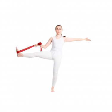 Logotrade promotional giveaway picture of: Virabha RPET yoga strap