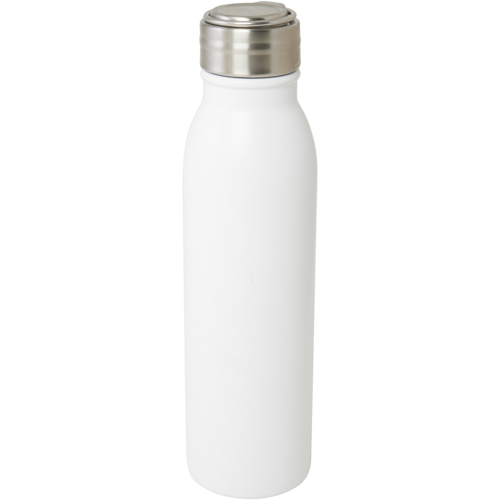 Logotrade promotional merchandise image of: Harper 700 ml RCS certified stainless steel water bottle with metal loop