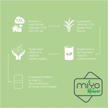 Logo trade promotional merchandise photo of: MIYO Renew double layer lunch box