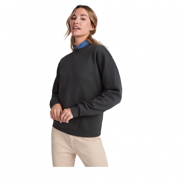 Logotrade promotional merchandise picture of: Clasica unisex crewneck sweater