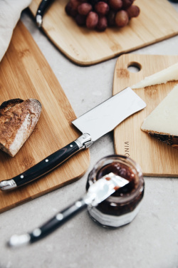 Logotrade promotional gift image of: VINGA Gigaro cheese knives