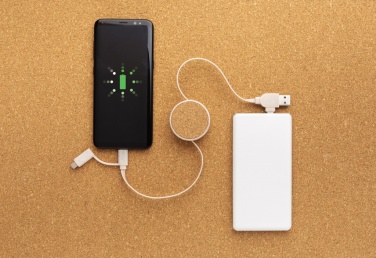 Logo trade advertising products picture of: Cork and Wheat 6-in-1 retractable cable