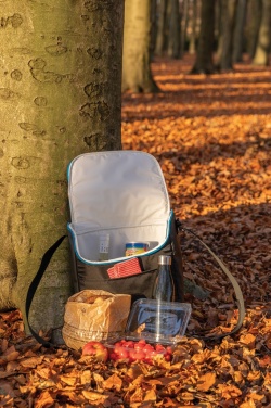 Logotrade promotional gift picture of: Explorer medium outdoor cooler bag