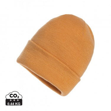 Logo trade promotional merchandise picture of: Impact AWARE™ Polylana® beanie