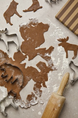 Logotrade promotional items photo of: VINGA Nordic big 5 cookie cutter 5-piece set