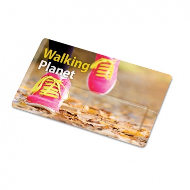 Logo trade promotional products image of: Creditcard. USB flash 32GB