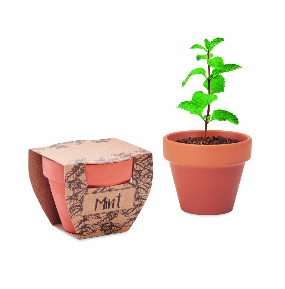 Logotrade corporate gift picture of: Terracotta pot mint seeds
