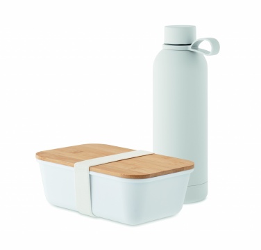 Logotrade promotional merchandise photo of: Lunch box bottle gift set