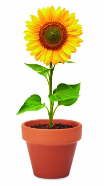 Logo trade promotional product photo of: Terracotta pot 'sunflower'