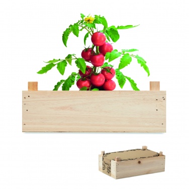 Logotrade corporate gift image of: Tomato kit in wooden crate