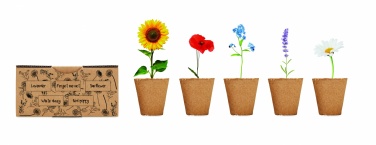 Logotrade promotional product image of: Flowers growing kit
