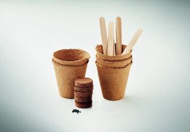 Logotrade promotional gift image of: Flowers growing kit