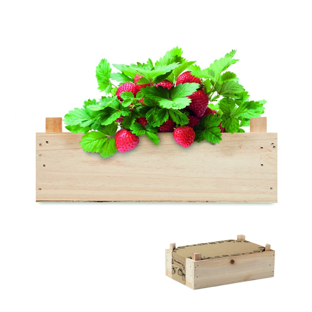Logotrade promotional items photo of: Strawberry kit in wooden crate