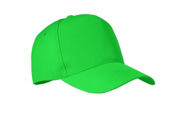 Logotrade business gifts photo of: RPET 5 panel baseball cap