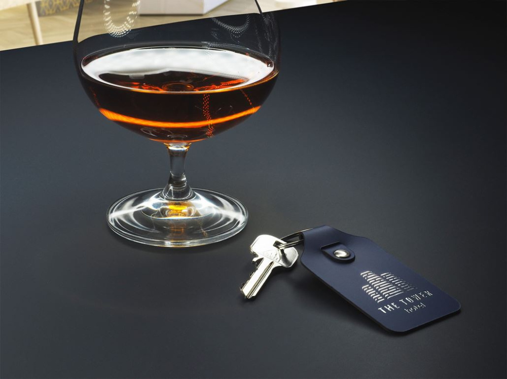 Logotrade promotional gift image of: Keyring 1200094