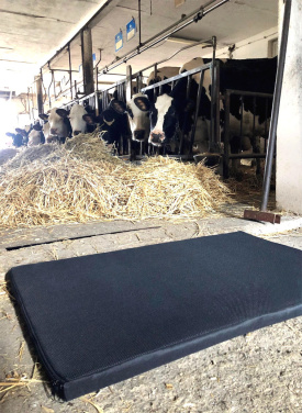 Logotrade advertising products photo of: Disinfection mat 100x150x3cm 1369087