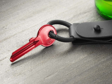 Logo trade corporate gifts image of: Keyring 1709094