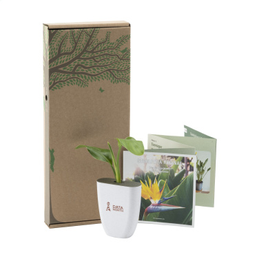 Logo trade promotional merchandise picture of: Treemore Letterbox Trees Bird of Paradise plant