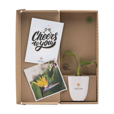 Logotrade corporate gift image of: Treemore Letterbox Trees Bird of Paradise plant
