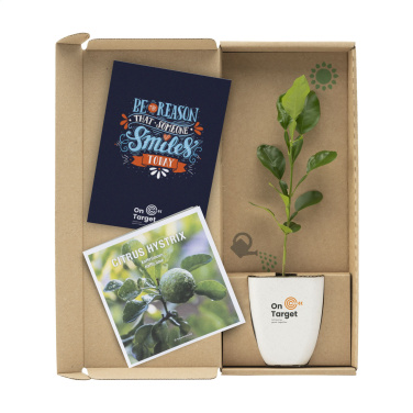 Logo trade corporate gifts image of: Treemore Letterbox Trees Kaffir Lemon