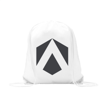 Logotrade promotional giveaway picture of: PromoBag 210D backpack