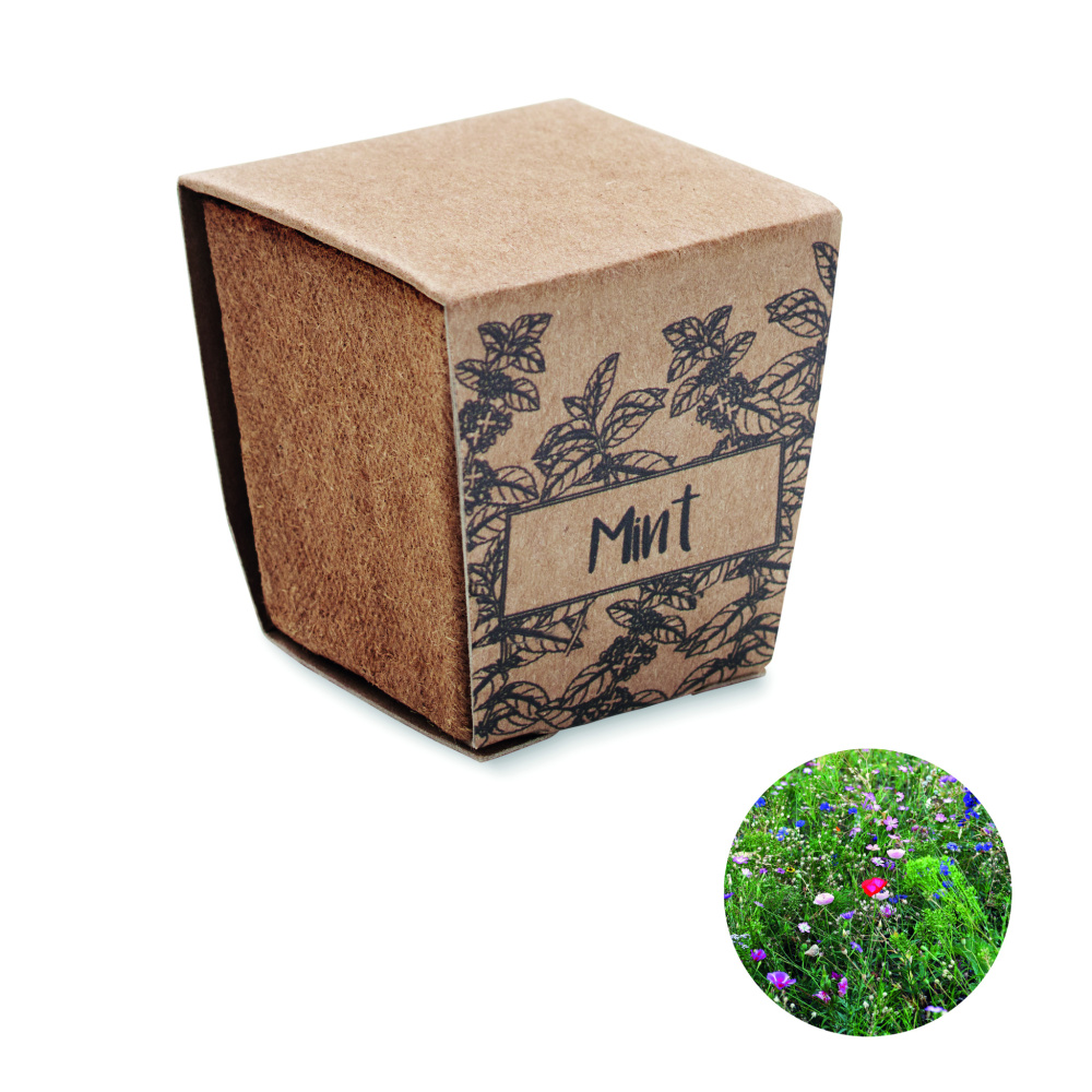 Logo trade promotional products image of: Mint seeds growing kit
