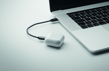 Logotrade promotional giveaway image of: 4 in 1 cable connector set 15W