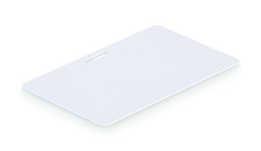 Logo trade promotional giveaways image of: Lanyard badge 54 x 86mm