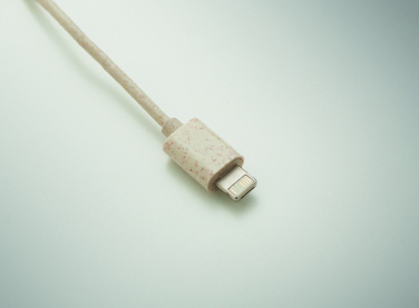Logo trade promotional merchandise photo of: Cable set in case