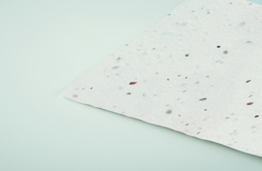 Logotrade advertising products photo of: Wildflower seed business card.