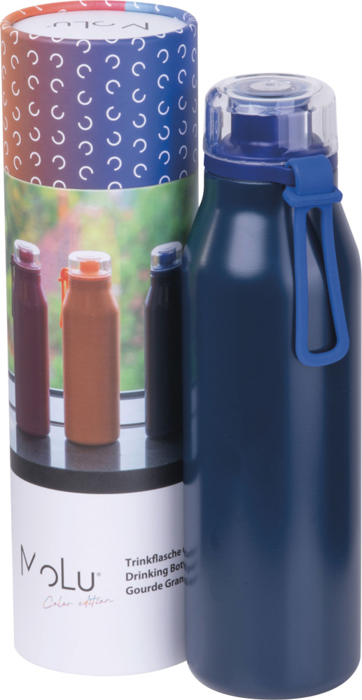 Logotrade business gifts photo of: Water bottle Grand Haven MoLu
