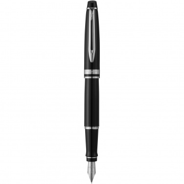 Logotrade ärikingitused pilt: Waterman Expert täitesulepea