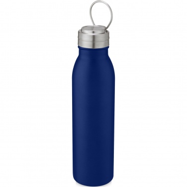 Logotrade reklaamtoote foto: Harper 700 ml roostevabast terasest veepudel metallist aasaga