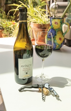 Logotrade reklaamkingitused pilt: Vino Waiters korgitser