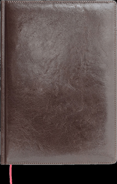 Logotrade ärikingi foto: Kalendermärkmik 642131