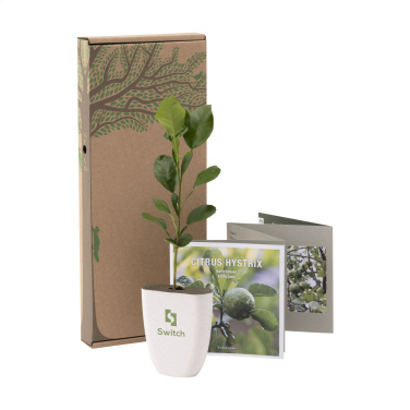 Logo trade firmakingitused foto: Treemore Letterbox Trees Kaffir Lemon
