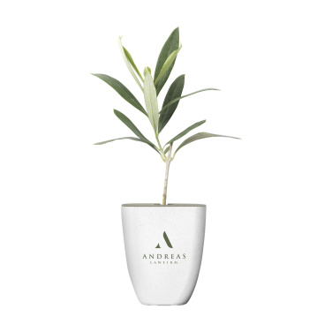 Logotrade reklaamtoote foto: Treemore Letterbox Trees Olive