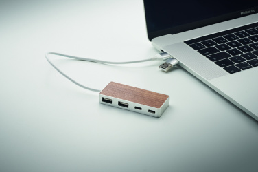 Logotrade firmakingituse foto: UBAH USB-jaotur 4 porti 27,5 cm