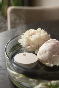 Logotrade reklaamkingid pilt: Breevia RCS plastikust laetav ujuv õhuniisutaja