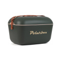 Polarbox Original suur 20L vintage külmakast, roheline